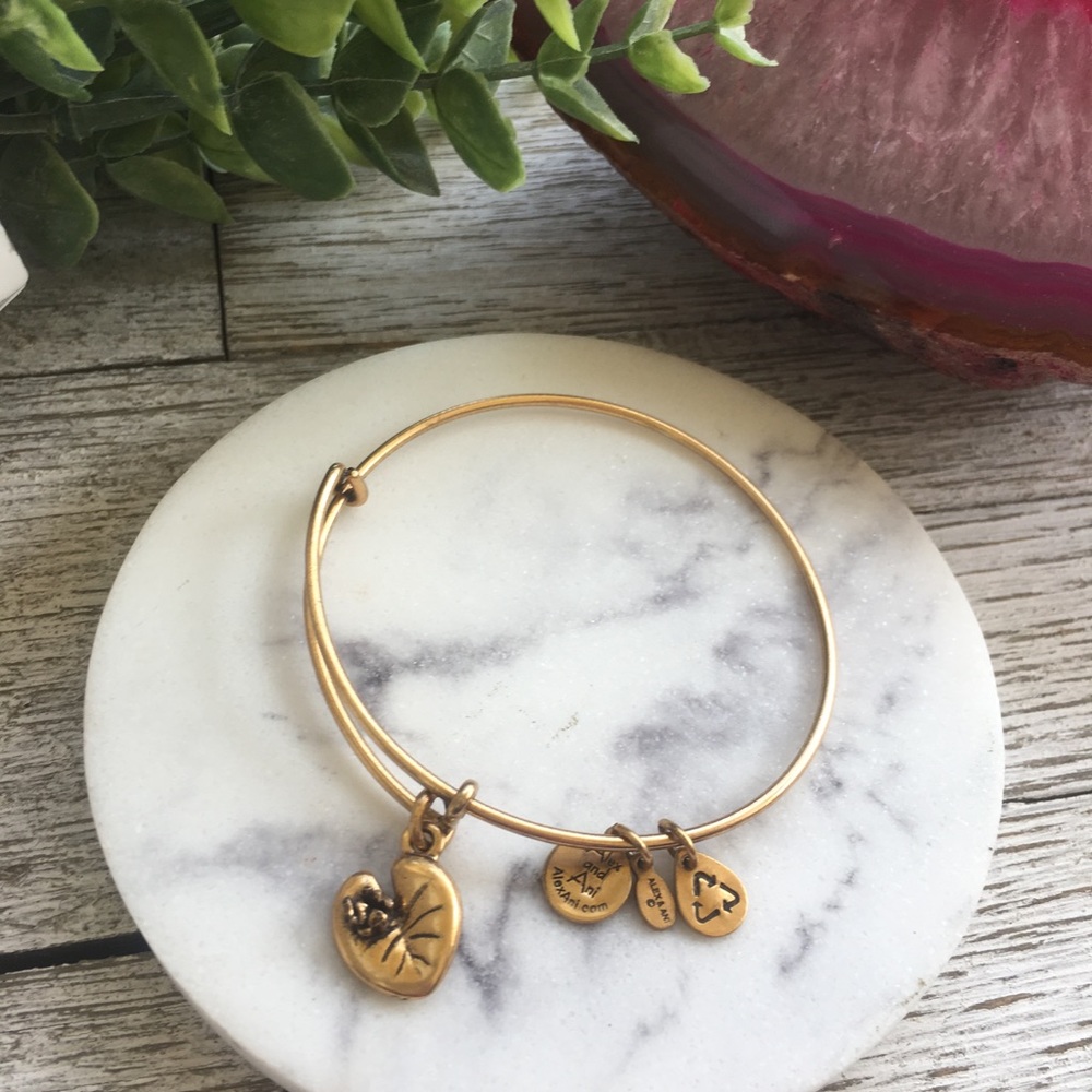 Alex and Ani Bracelet